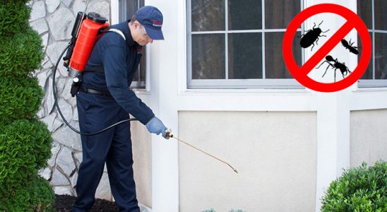 Bozyaka Hamam Böceği İlaçlama böcek ilaçlama ve haşere kontrolü — ilaclama-tr.com